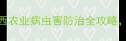住友农药巴西站巴西农业病虫害防治全攻略助你稳产增收