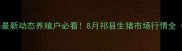 祁县肥猪价格最新动态养殖户必看8月祁县生猪市场行情全附养殖建议