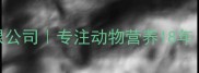 河北保健饲料有限公司专注动物营养18年服务超10万养殖场