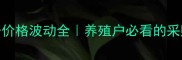 烟台鱼粉价格波动全养殖户必看的采购避坑指南