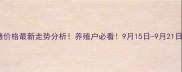 全国活猪价格最新走势分析养殖户必看9月15日-9月21日价格预测