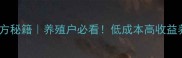 白羽鸡饲料配方秘籍养殖户必看低成本高收益养殖全攻略