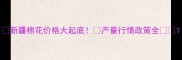 新疆棉花价格大起底产量行情政策全