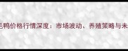 山东肉毛鸭价格行情深度市场波动养殖策略与未来展望