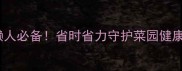 农药碧护作用懒人必备省时省力守护菜园健康附详细使用技巧