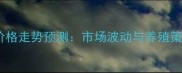 兔毛价格走势预测市场波动与养殖策略全