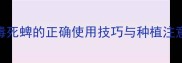 高效低毒农药推荐毒死蜱的正确使用技巧与种植注意事项附安全指南
