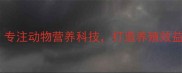 广州宝农饲料专注动物营养科技打造养殖效益提升解决方案