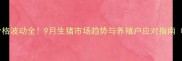 广西桂林大猪价格波动全9月生猪市场趋势与养殖户应对指南附最新报价