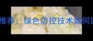 山东华阳乐农农药权威推荐绿色防控技术如何助力小麦增产20以上