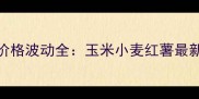 10月商丘农产品价格波动全玉米小麦红薯最新行情及种植建议