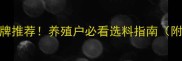 辽宁饲料十大品牌推荐养殖户必看选料指南附最新补贴政策
