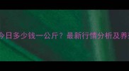 山东鸡蛋价格今日多少钱一公斤最新行情分析及养殖户应对策略
