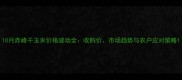 10月赤峰干玉米价格波动全收购价市场趋势与农户应对策略