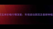 1月7日玉米价格行情深度市场波动原因及春耕种植建议