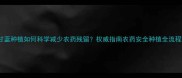 甘蓝种植如何科学减少农药残留权威指南农药安全种植全流程