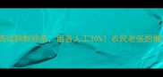 新配方小麦除草剂高效静默除草亩省人工30农民老张的懒人种植法大公开