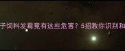养殖户必看鸭子饲料发霉竟有这些危害5招教你识别和预防附解决方案