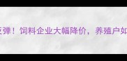 饲料价格触底反弹饲料企业大幅降价养殖户如何抓住机遇