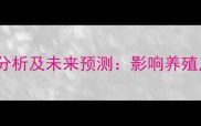 11月豆粕价格走势分析及未来预测影响养殖户的三大核心因素