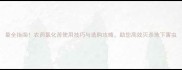 最全指南农药氯化苦使用技巧与选购攻略助您高效灭杀地下害虫