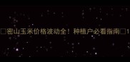 密山玉米价格波动全种植户必看指南