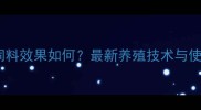 羊桂非饲料效果如何最新养殖技术与使用指南
