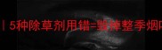 烟田除草剂禁用清单5种除草剂用错毁掉整季烟叶烟农必看避坑指南