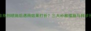 烯禾啶除草剂喷施后遇雨效果打折三大补救措施与科学预防指南