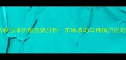 内蒙古秋玉米价格走势分析市场波动与种植户应对策略