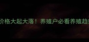 河南淘汰鸡价格大起大落养殖户必看养殖趋势与市场分析
