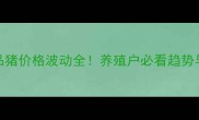 湖南商品猪价格波动全养殖户必看趋势与应对策略