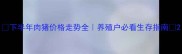下半年肉猪价格走势全养殖户必看生存指南