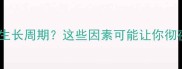 常用农药如何影响作物生长周期这些因素可能让你彻夜难眠的农业种植指南