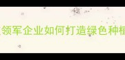 江苏辉丰农药有限公司农业科技领军企业如何打造绿色种植解决方案创新成果与行业展望