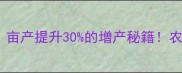 控稍足花药技术亩产提升30的增产秘籍农民必看实操指南