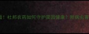 黄瓜种植必看杜邦农药如何守护菜园健康附病虫害防治全攻略