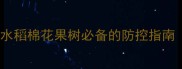 井冈霉素病害克星水稻棉花果树必备的防控指南附安全使用全攻略
