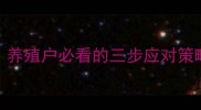 饲料禁抗政策落地养殖户必看的三步应对策略轻松实现无抗养殖