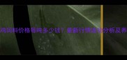 南通蛋鸡饲料价格每吨多少钱最新行情波动分析及养殖建议