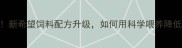 养殖户必看新希望饲料配方升级如何用科学喂养降低成本30