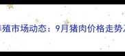 青海生猪养殖市场动态9月猪肉价格走势及行业分析