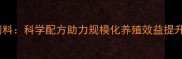 金苹果母猪配合饲料科学配方助力规模化养殖效益提升养殖户必看
