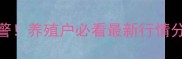 河北毛猪价格波动预警养殖户必看最新行情分析附养殖避坑指南