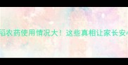 东北水稻农药使用情况大这些真相让家长安心餐桌