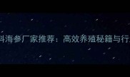 山东鲍鱼饲料海参厂家推荐高效养殖秘籍与行业趋势全