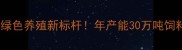 贵州泰高饲料厂绿色养殖新标杆年产能30万吨饲料的科技赋能之路