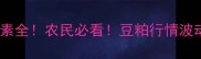 豆粕价格影响因素全农民必看豆粕行情波动背后谁在操控