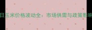 CFT12月17日玉米价格波动全市场供需与政策影响深度分析