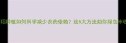 水稻种植如何科学减少农药依赖这5大方法助你绿色丰收